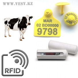 rfidsolution007_01